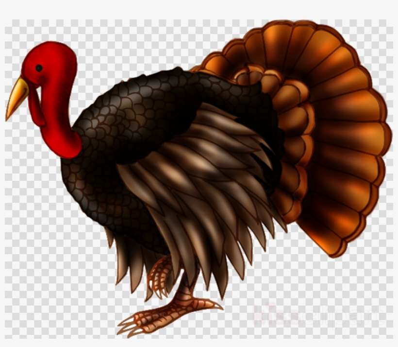 Detail Turkey Png Transparent Nomer 32