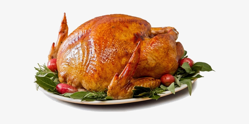 Detail Turkey Png Transparent Nomer 36