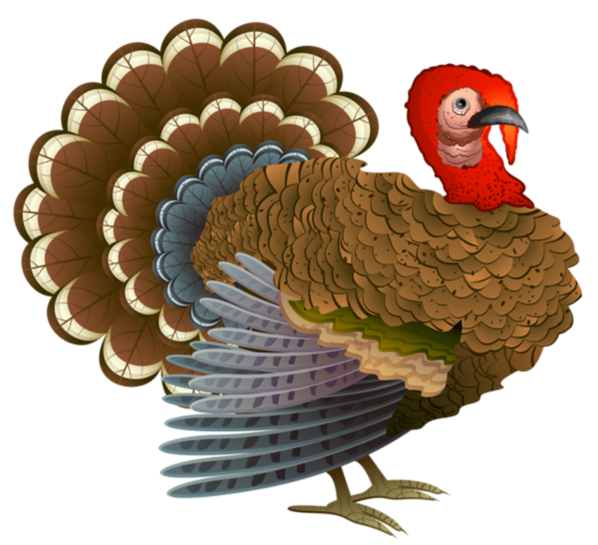 Detail Turkey Transparent Background Nomer 35