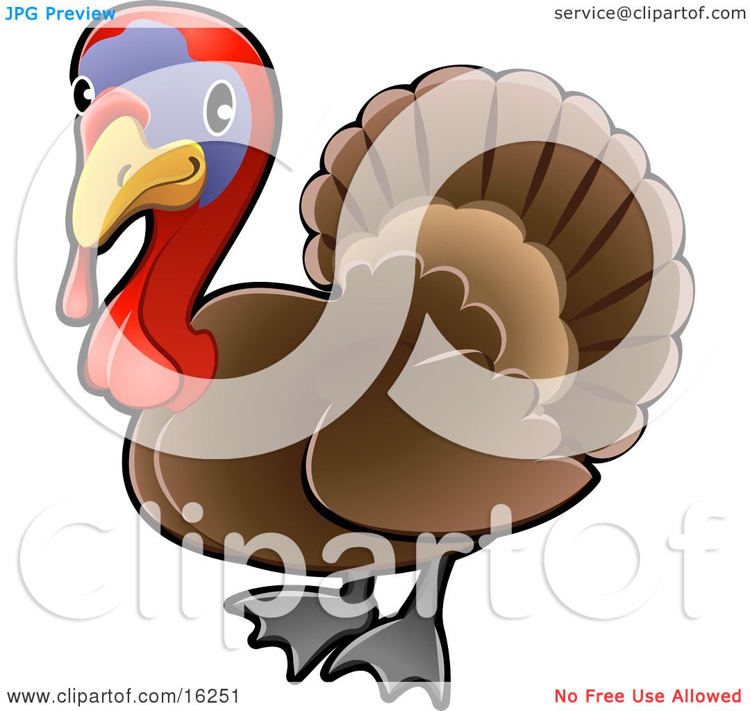 Detail Turkey Wattle Clipart Nomer 33