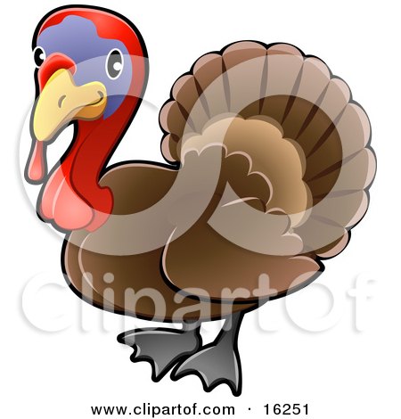 Detail Turkey Wattle Clipart Nomer 36