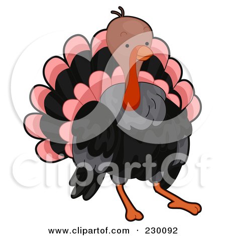 Detail Turkey Wattle Clipart Nomer 43