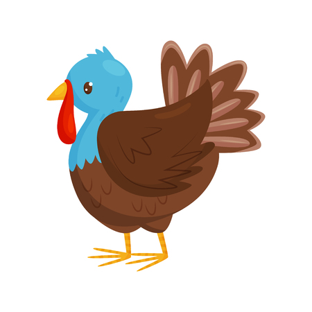 Detail Turkey Wattle Clipart Nomer 5