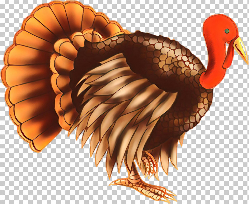 Detail Turkey Wings Clipart Nomer 38