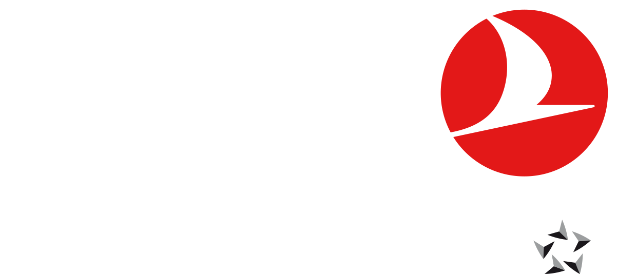 Detail Turkish Airlines Logo Png Nomer 21