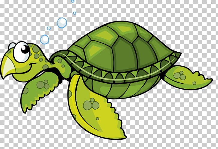 Detail Turtle Cartoon Png Nomer 12