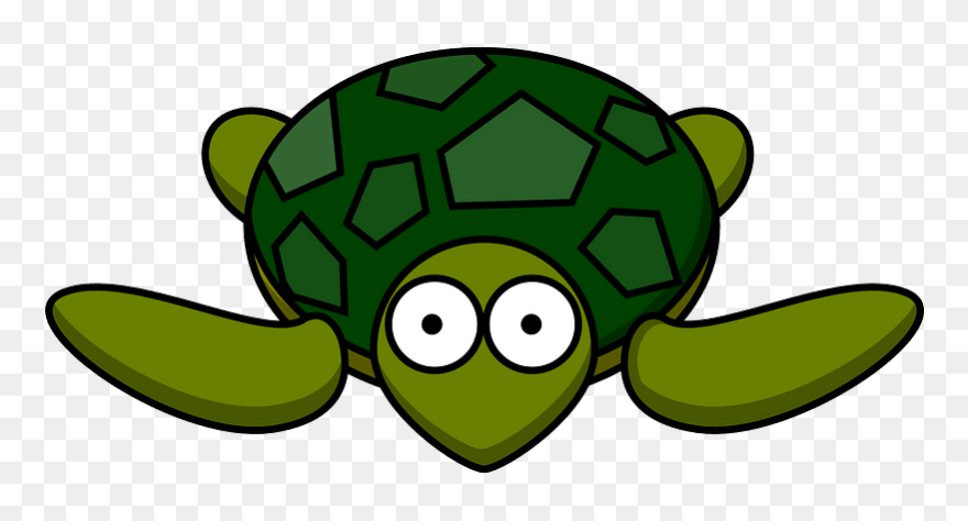 Detail Turtle Cartoon Png Nomer 13
