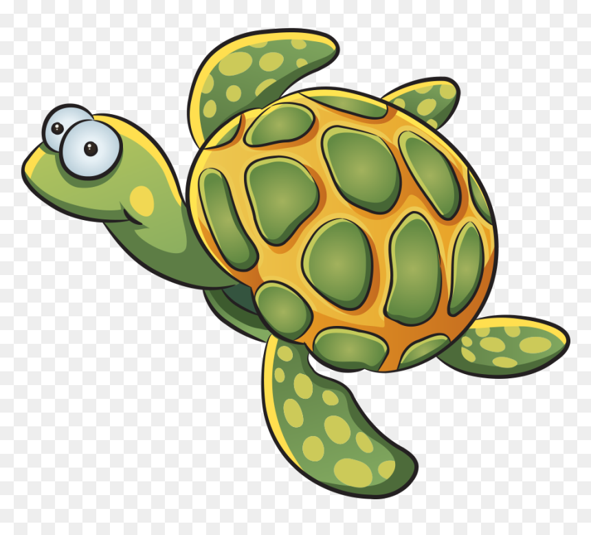 Detail Turtle Cartoon Png Nomer 26