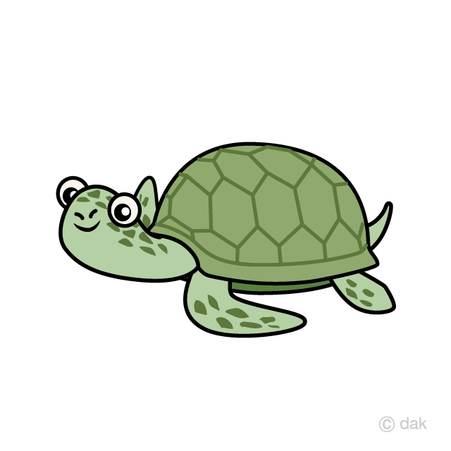 Detail Turtle Cartoon Png Nomer 38