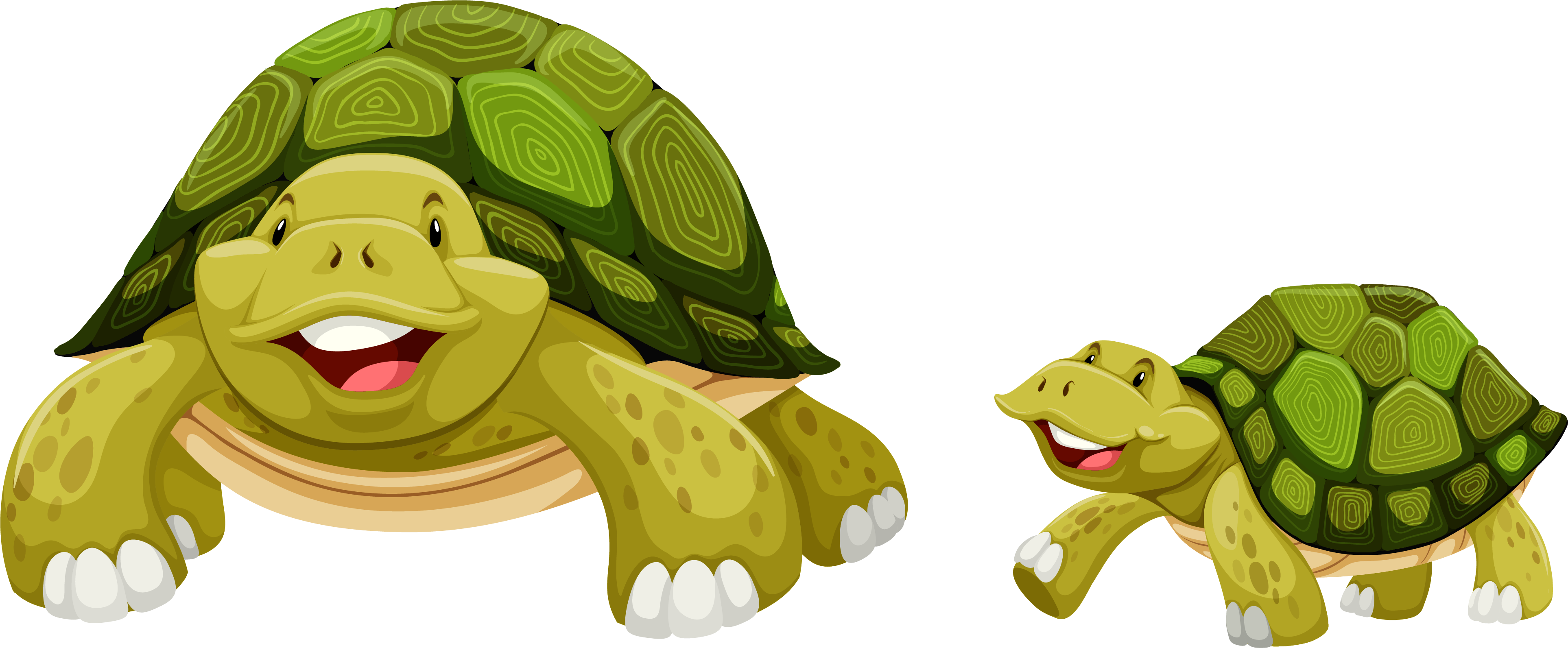 Detail Turtle Cartoon Png Nomer 46