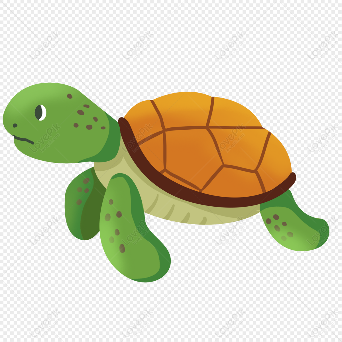 Detail Turtle Cartoon Png Nomer 50