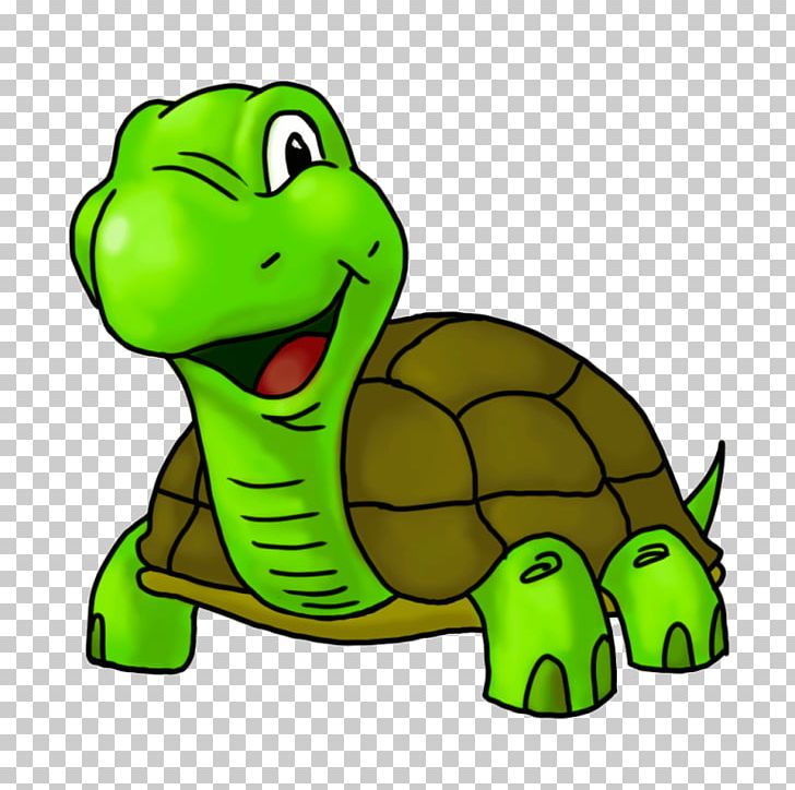 Detail Turtle Cartoon Png Nomer 7