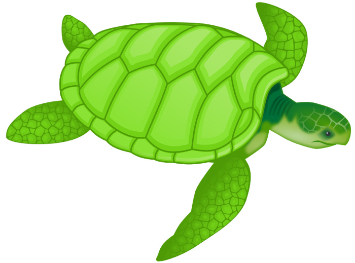 Detail Turtle Clipart Nomer 22