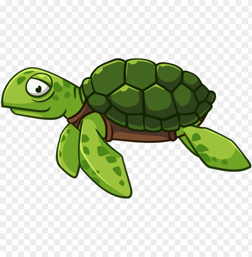 Detail Turtle Clipart Nomer 30