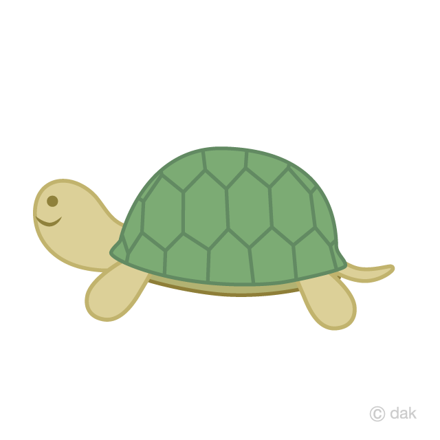 Detail Turtle Clipart Nomer 41