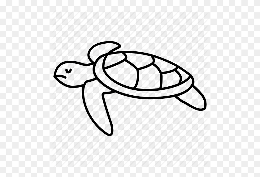 Detail Turtle Clipart Nomer 50