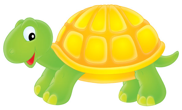 Detail Turtle Clipart Nomer 7