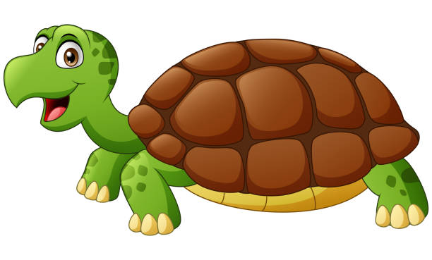 Detail Turtle Clipart Images Nomer 18