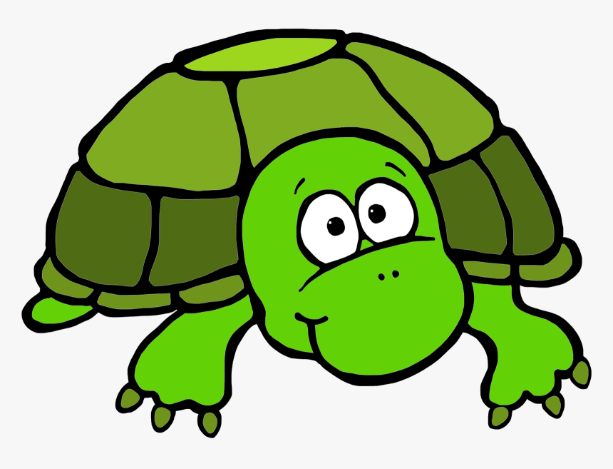 Detail Turtle Clipart Png Nomer 20