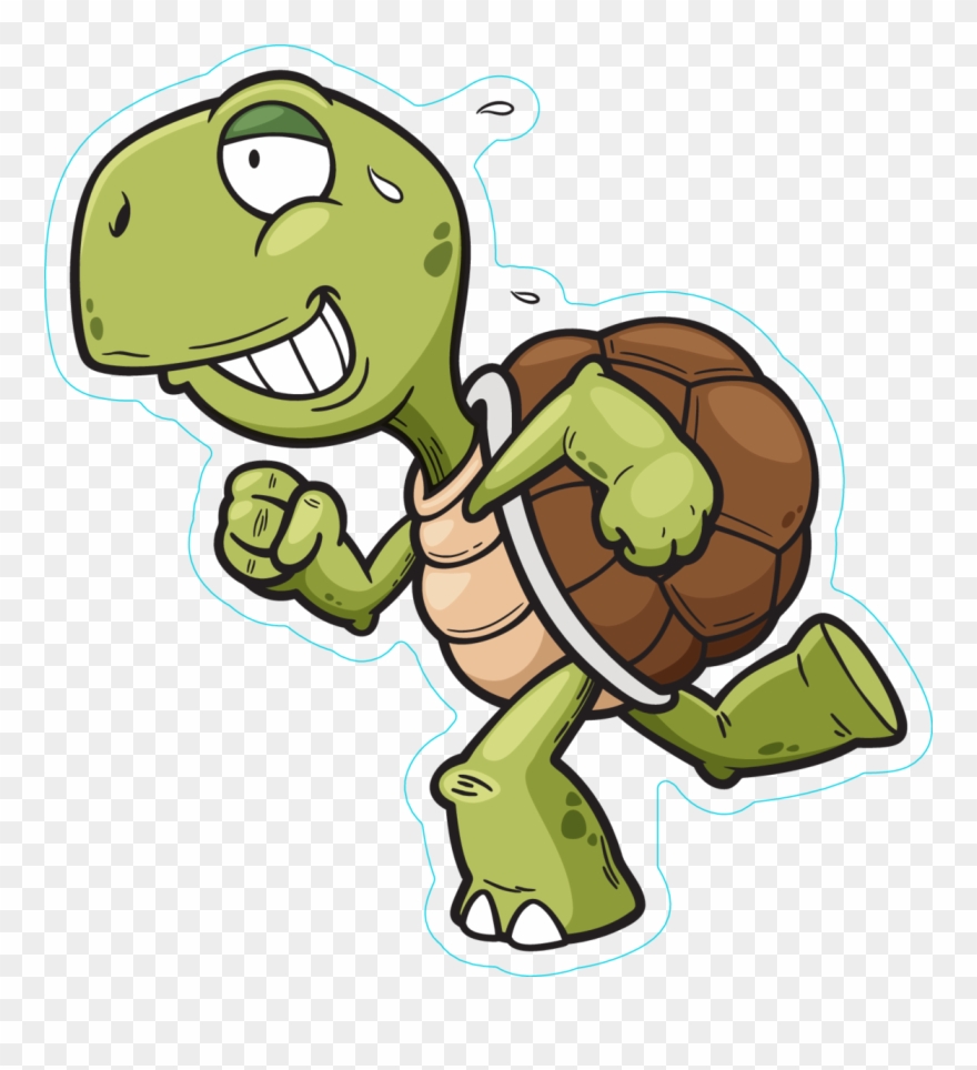 Detail Turtle Clipart Png Nomer 45