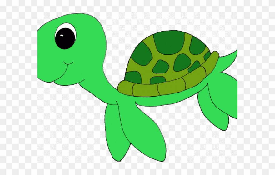 Detail Turtle Clipart Png Nomer 5