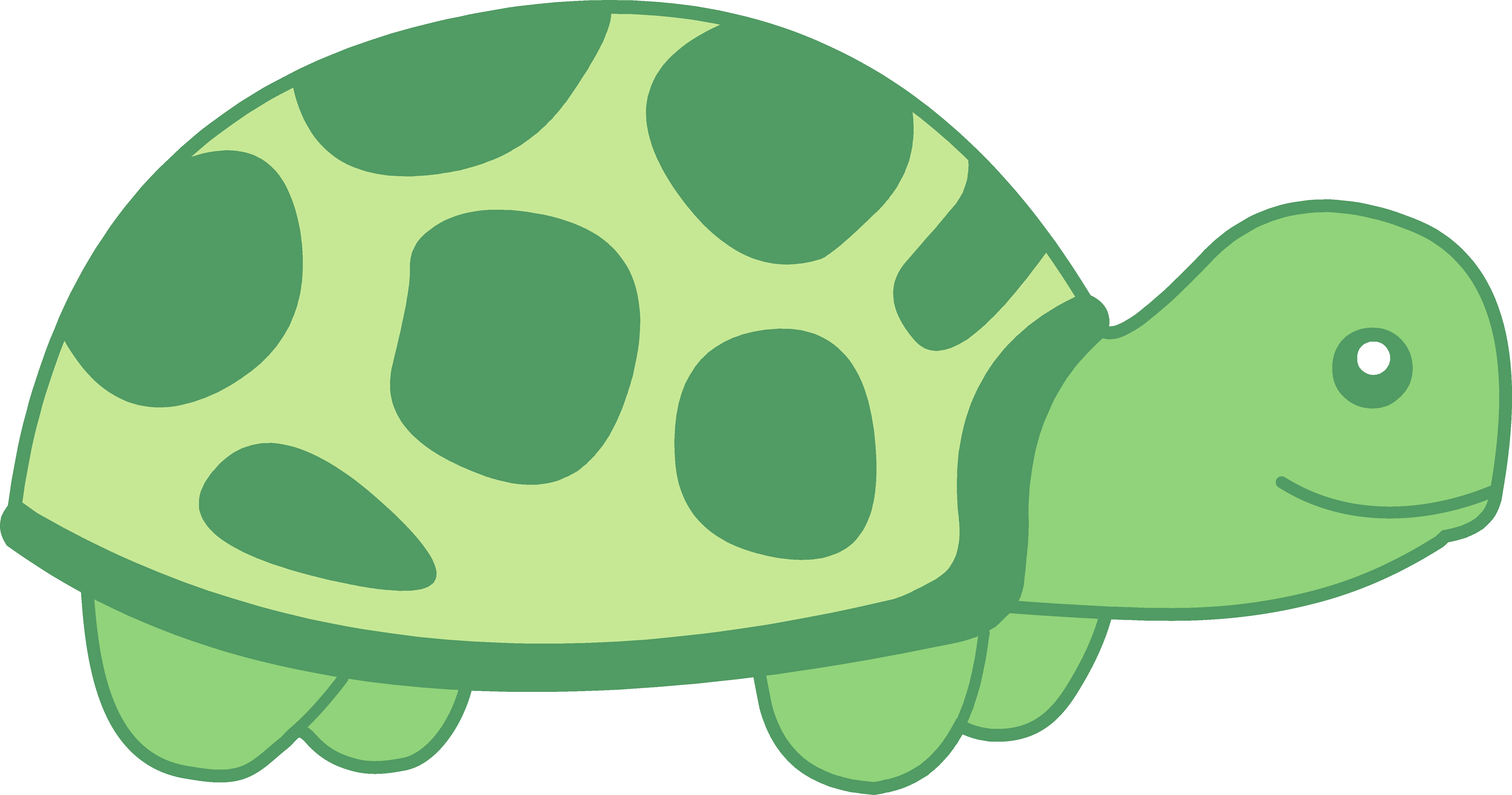 Detail Turtle Clipart Png Nomer 8