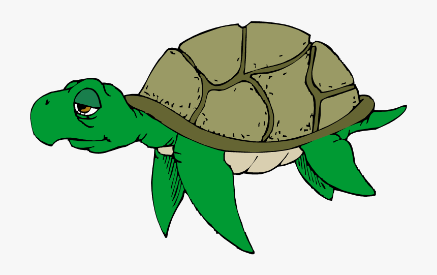 Detail Turtle Clipart Transparent Nomer 11