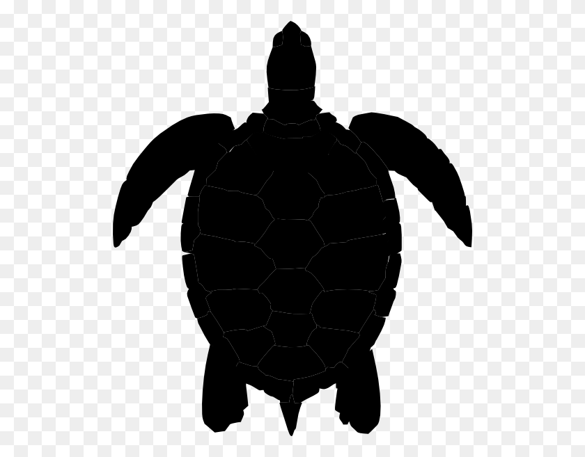 Detail Turtle Clipart Transparent Nomer 25