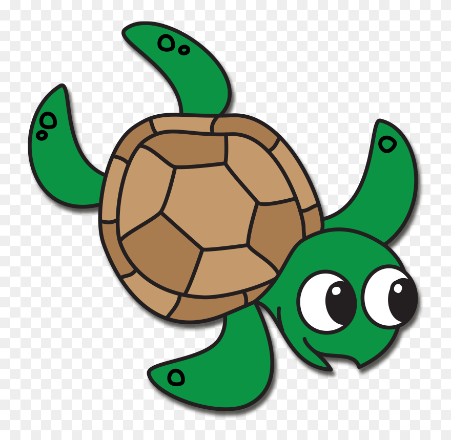 Detail Turtle Download Nomer 30