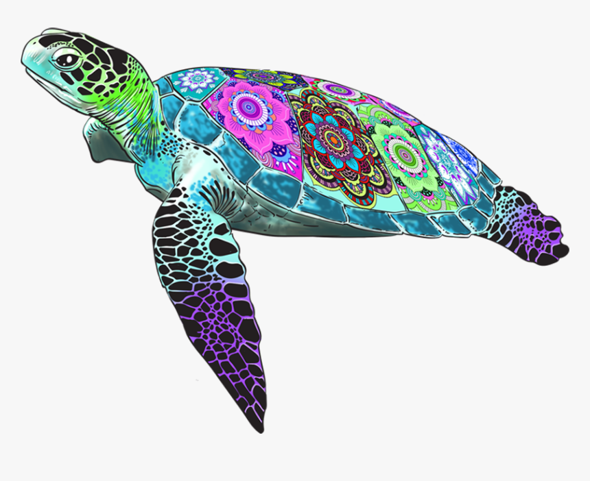 Detail Turtle Download Nomer 32