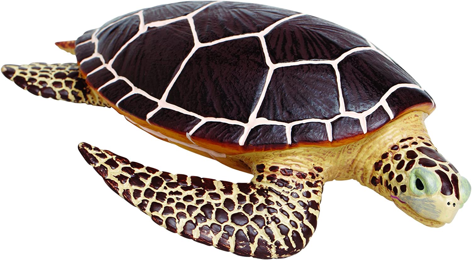 Detail Turtle Image Nomer 11