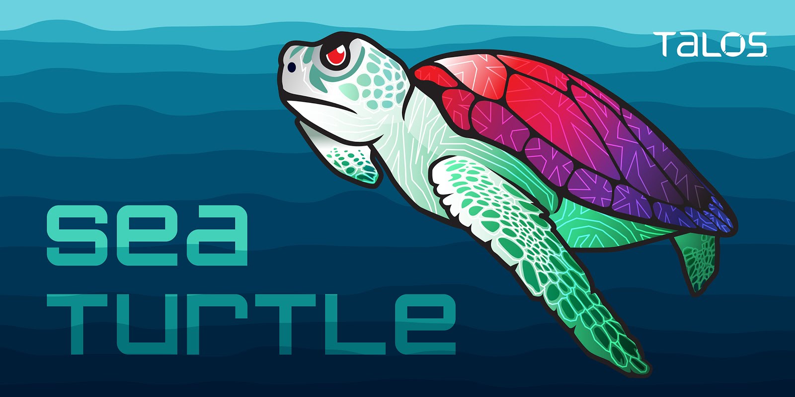 Detail Turtle Image Nomer 42