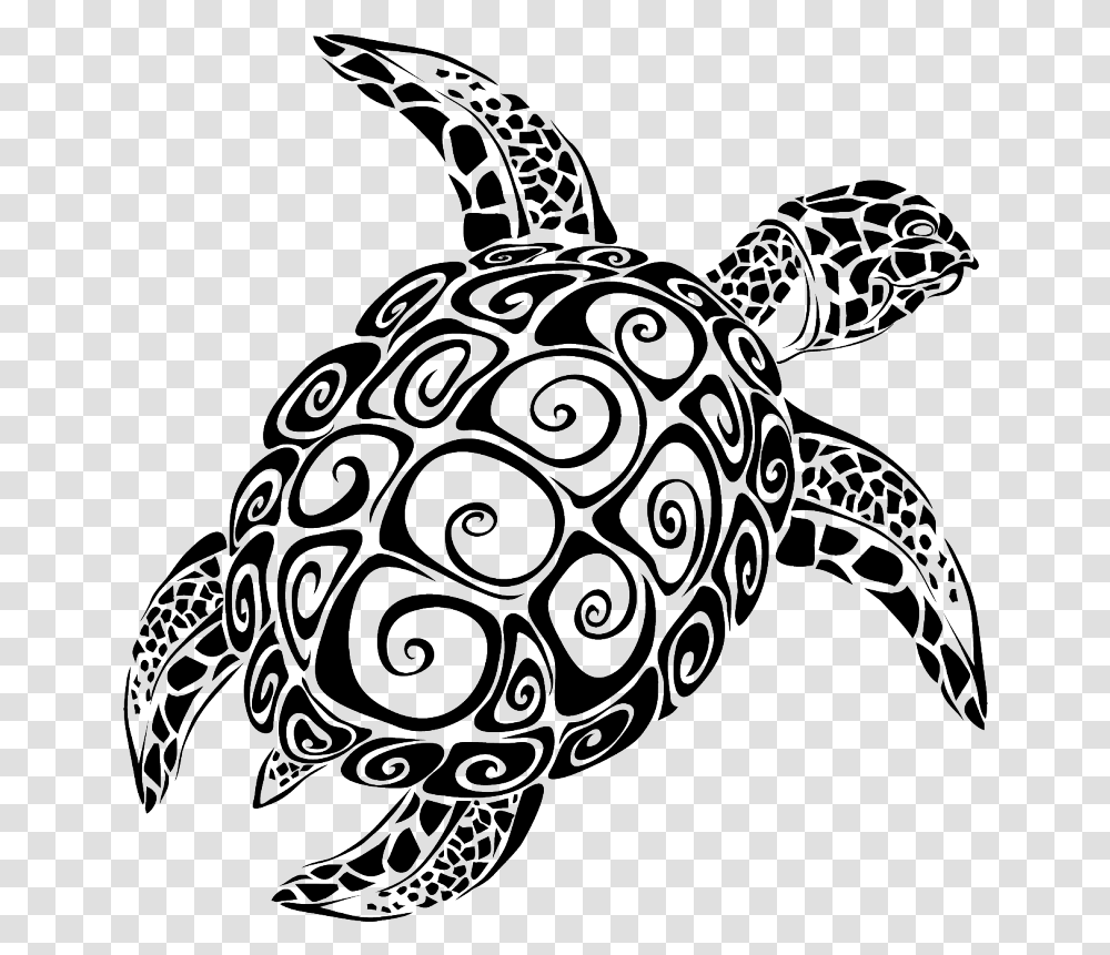 Detail Turtle Images Free Nomer 51