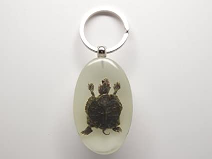 Detail Turtle Keychain Amazon Nomer 28