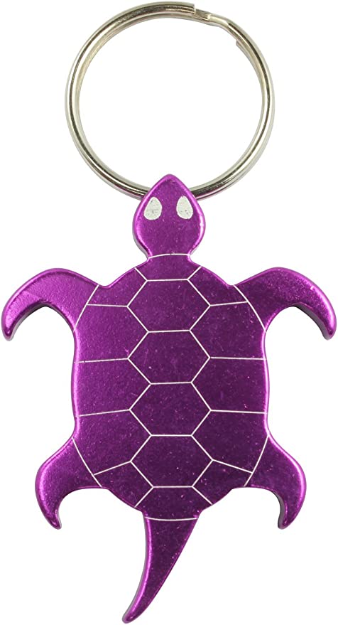 Detail Turtle Keychain Amazon Nomer 30