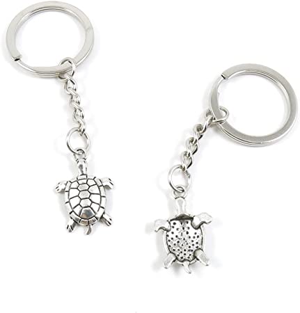 Detail Turtle Keychain Amazon Nomer 33