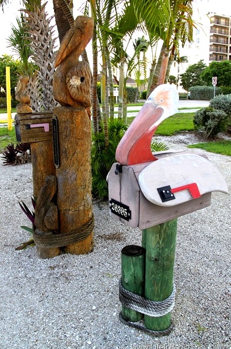 Detail Turtle Mailbox Post Nomer 29