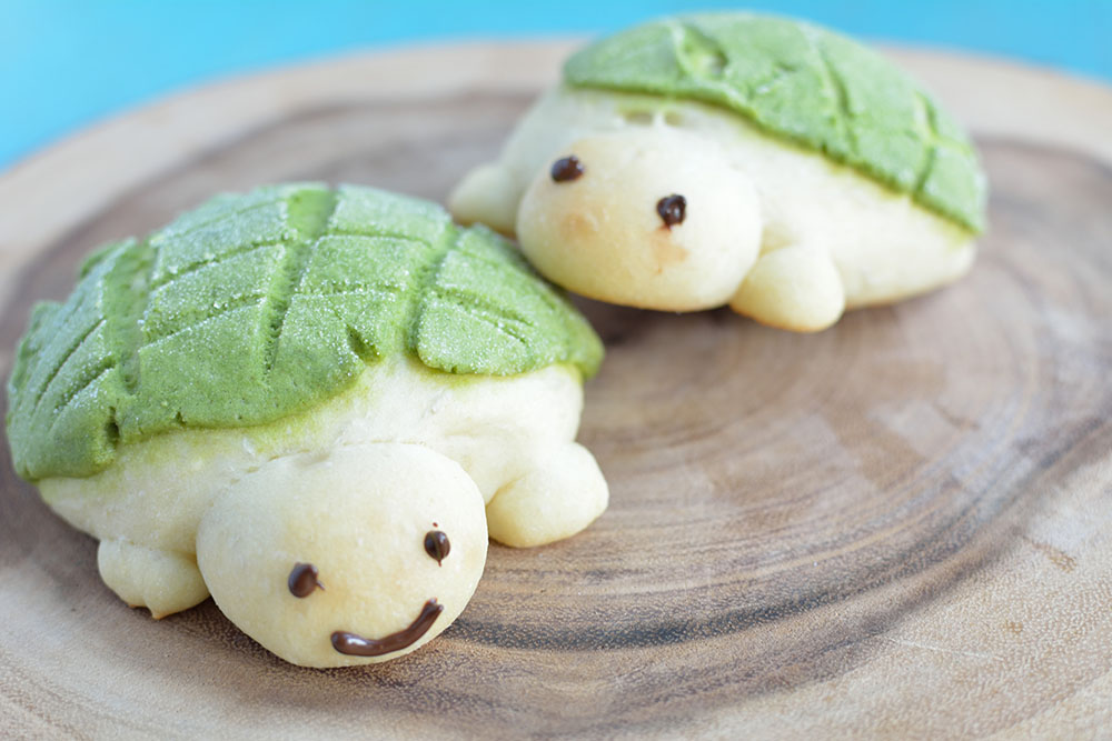 Turtle Melon Bread - KibrisPDR