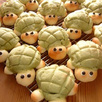 Detail Turtle Melon Bread Nomer 2