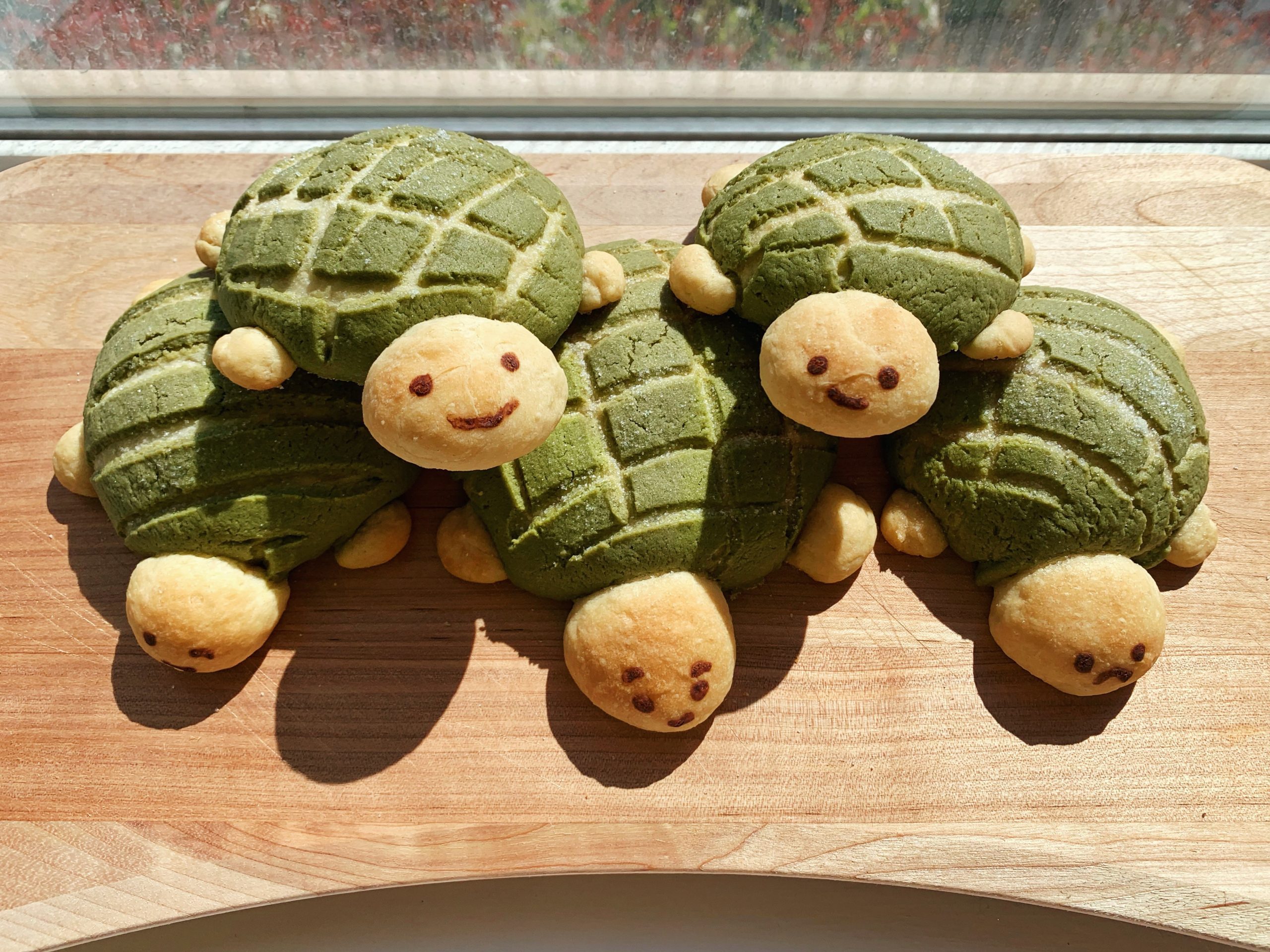 Detail Turtle Melon Bread Nomer 9