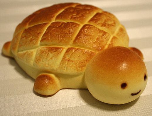 Detail Turtle Melon Bread Nomer 14