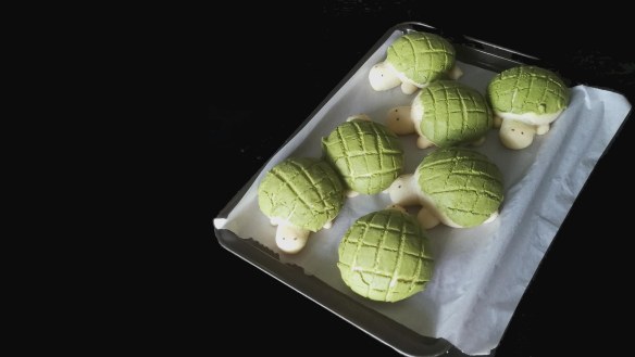 Detail Turtle Melon Bread Nomer 38