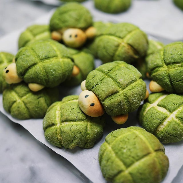 Detail Turtle Melon Bread Nomer 8