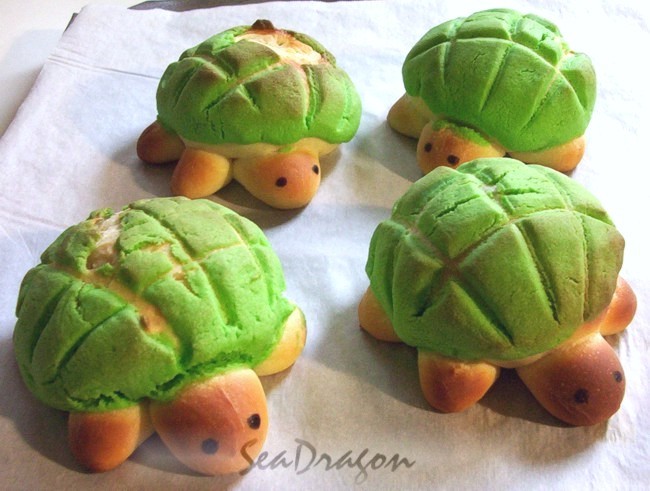 Detail Turtle Melon Pan Nomer 12