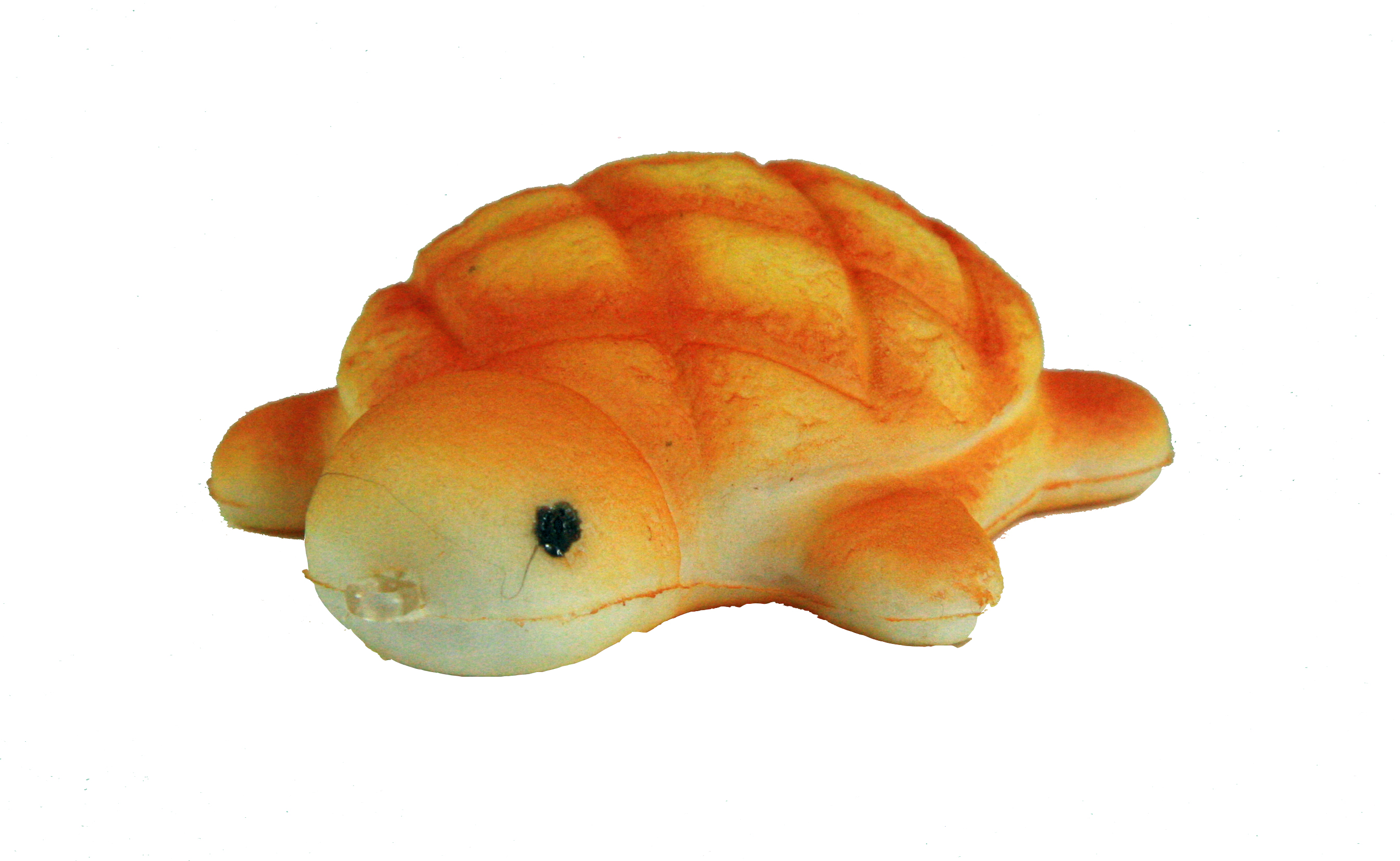 Detail Turtle Melon Pan Nomer 23