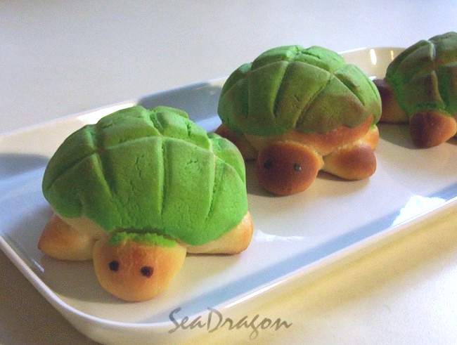 Detail Turtle Melon Pan Nomer 24