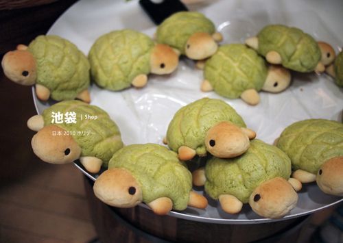 Detail Turtle Melon Pan Nomer 28