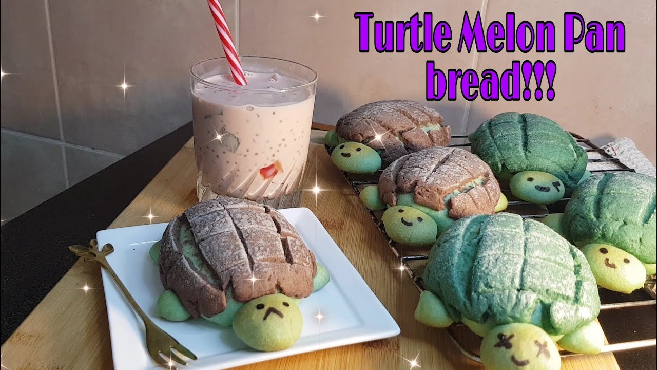 Detail Turtle Melon Pan Nomer 39