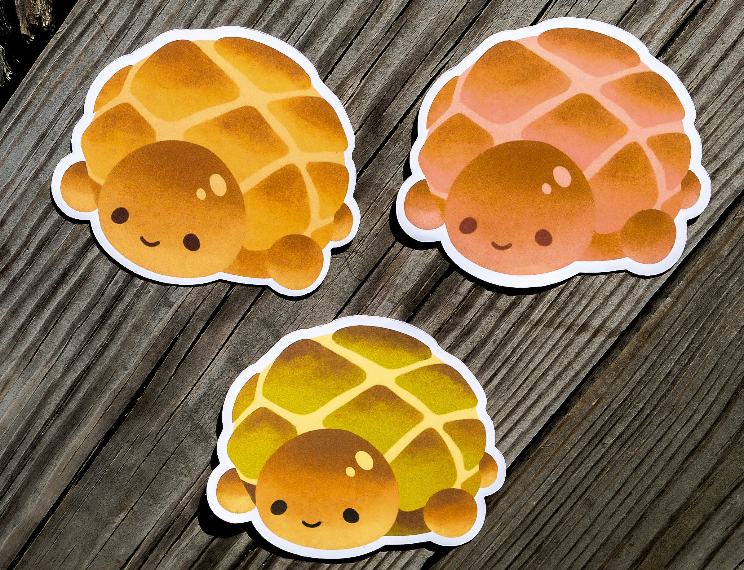 Detail Turtle Melon Pan Nomer 41