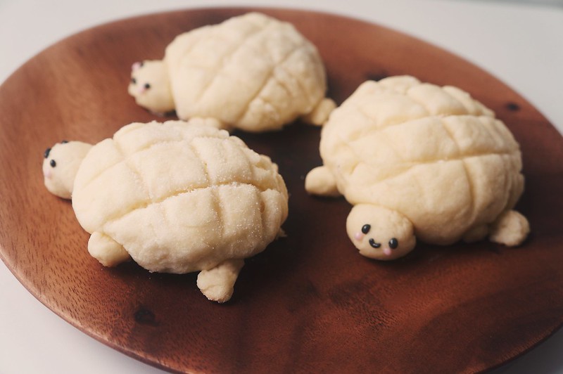 Detail Turtle Melon Pan Nomer 42